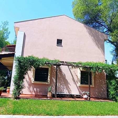 High Aesthetics Maisonette In The Wood By The Sea Metamorfosi  Luaran gambar
