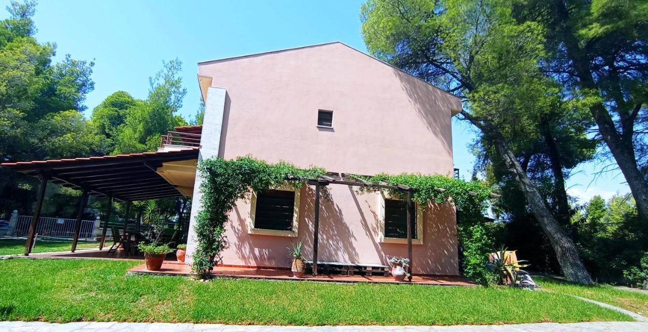 High Aesthetics Maisonette In The Wood By The Sea Metamorfosi  Luaran gambar