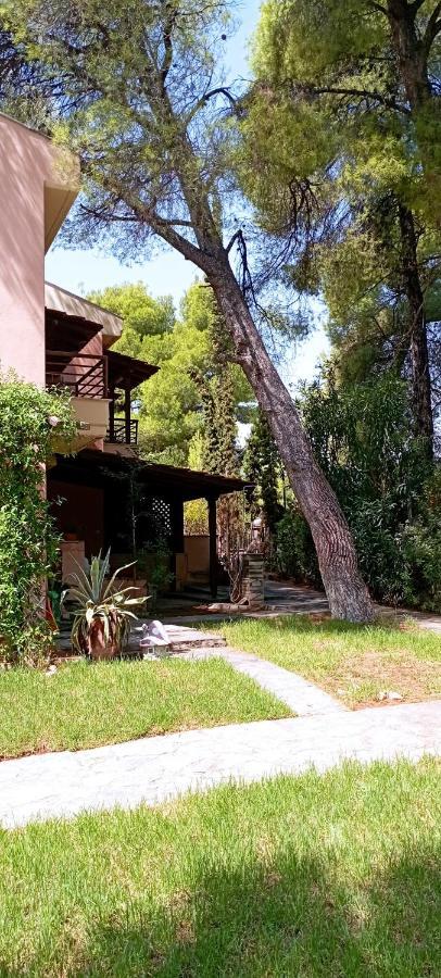 High Aesthetics Maisonette In The Wood By The Sea Metamorfosi  Luaran gambar