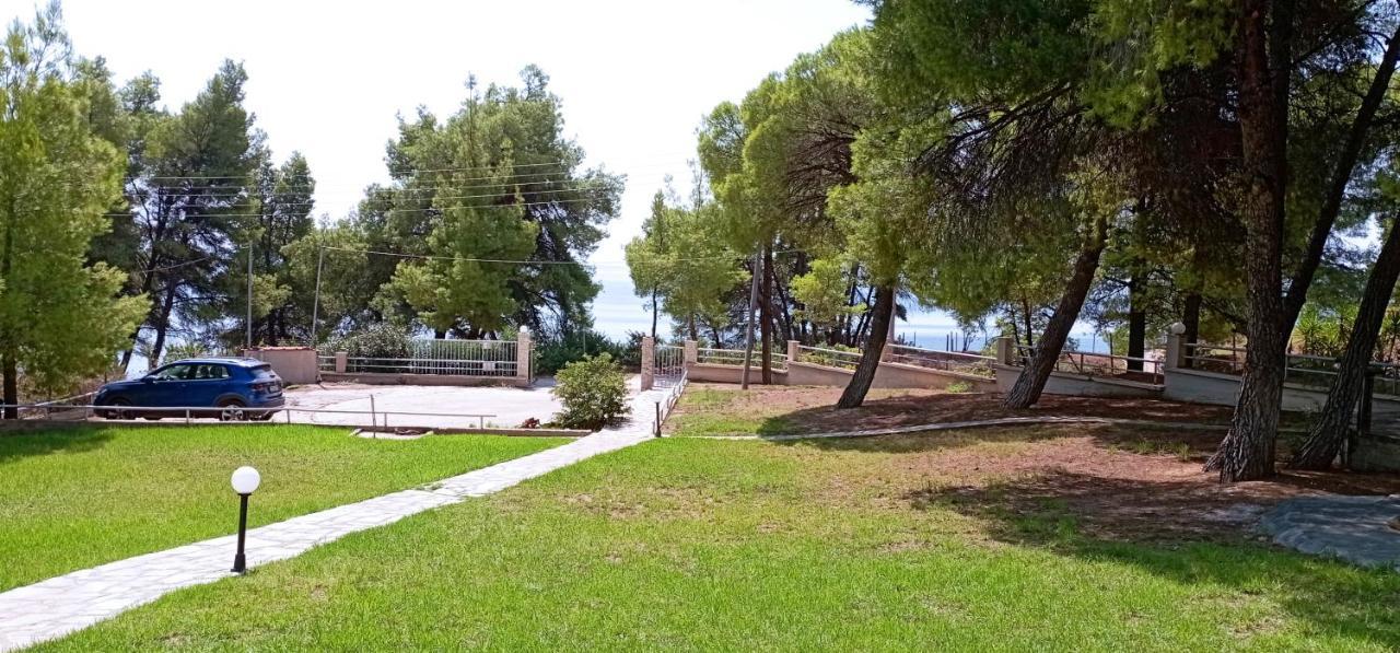 High Aesthetics Maisonette In The Wood By The Sea Metamorfosi  Luaran gambar