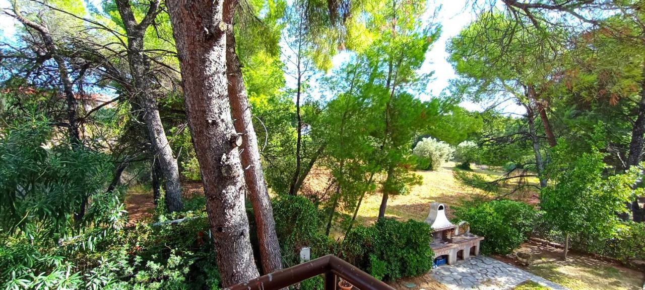 High Aesthetics Maisonette In The Wood By The Sea Metamorfosi  Luaran gambar