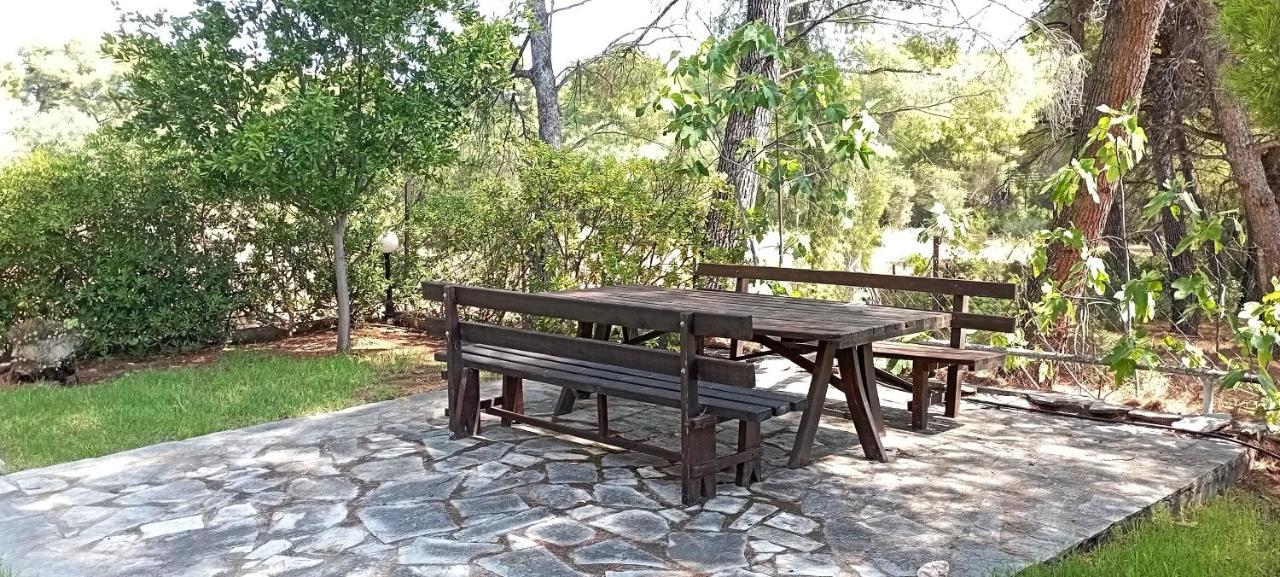 High Aesthetics Maisonette In The Wood By The Sea Metamorfosi  Luaran gambar
