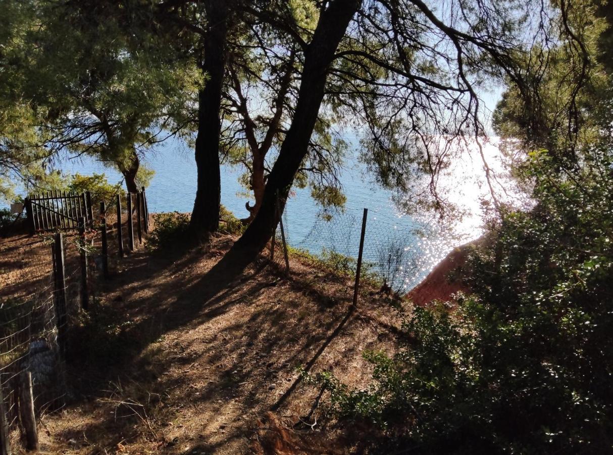 High Aesthetics Maisonette In The Wood By The Sea Metamorfosi  Luaran gambar